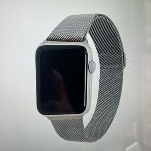 Apple stainless steel mesh watch band